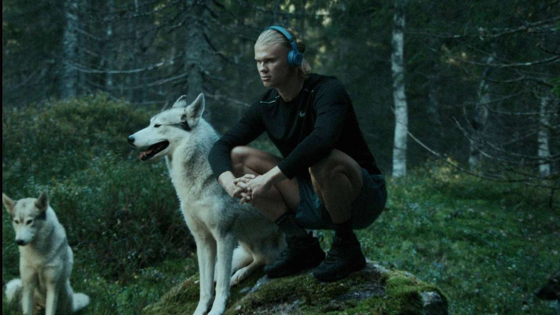 通过举办社 通过举办社